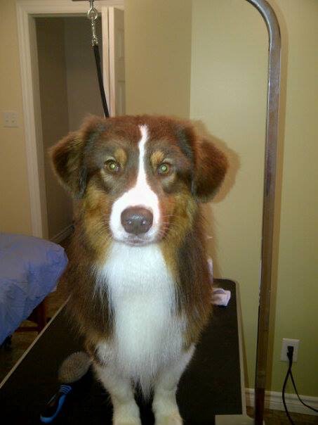 46803 10153041364345724 4539881 n