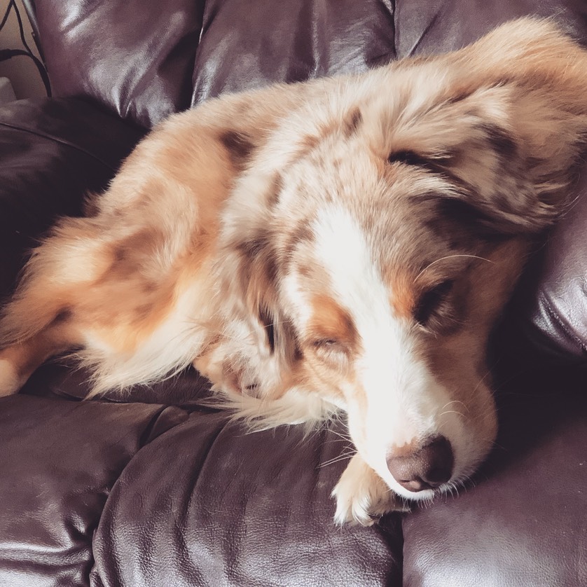 816CAC51-632A-42D8-B896-5DDE9334039F