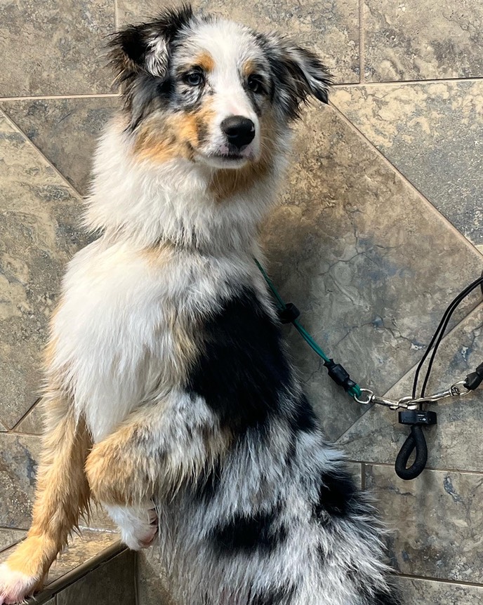 E82D4605-F7EF-458B-82D8-39C2432737FB