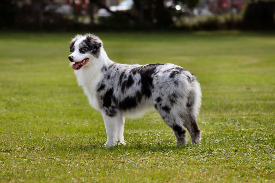 Faith in the sunlight again